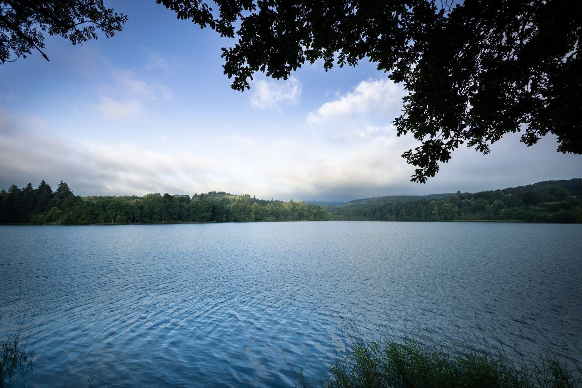 Natur